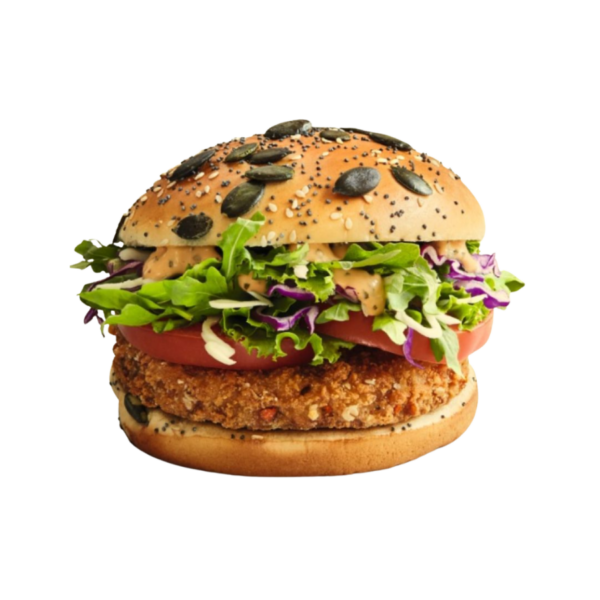 Hamburguesas Vegetarianas 95g x 48