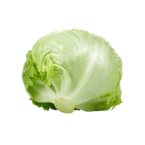 Lechuga Iceberg Fresca x10 unidades